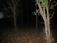 Chicago Ghost Hunters Group investigates Robinson Woods (212).JPG